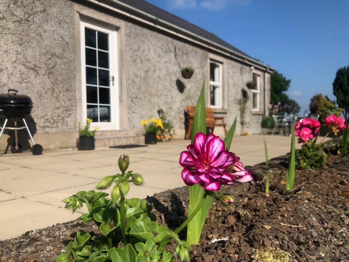 Ballyconnelly Cottages, Galgorm Area Cullybackey Exterior foto